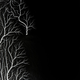 Image for article titled Capturing the Veined Beauty of Lightning